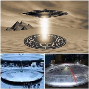 Deciphering UFO Motion: Exploring the Physics of Extraterrestrial Maneuvers