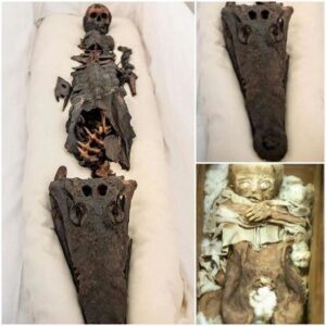 “Emerging from the Shadows: The Centuries-Long Mystery of the ‘Two-Headed Mummy’ Finally Unveiled”