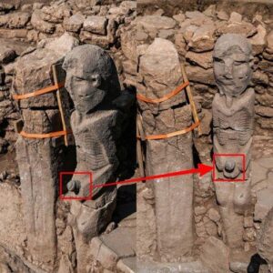 Archaeologists in Turkey have unearthed a nearly 11,000-year-old statue that may depict a giant man clutching his penis, along with a life-size wild boar statue. The two statues come from the neighboring sites of Gobekli Tepe and Karahan Tepe, which are among the oldest temple sites in the world.