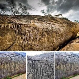 THE INGÁ STONE Located in Brazil, it is a World archaeological wonder. It is over 6,000 years old and has hundreds of strange symbols. Scientists around the world have tried to figure it out without success, all you know is that you have Egyptian, Phoenician and Sumerian characters also similar to the Easter Island rongorongo and mainly symbols of the nostatic language, the oldest and rarest of humanity. On the stone appears the constellation Orion, the road Milk, messages of a world disaster to come. in the future, methods of opening mental doors and traveling to dimensional worlds, mathematical formulas, equations and many other shocking things. Who left such knowledge in writing 6,000 years ago? on this stone? How is it possible that they knew all this in the past? Pedra de Ingá is an archaeological monument, identified as "itacoatiara", which consists of a rocky terrain with rock inscriptions carved in the rock, located in the municipality of Ingá in the state of Paraíba. The term "itacoatiara" comes from the Tupi language: itá ("stone") and kûatiara ("crossed out" or "painted").