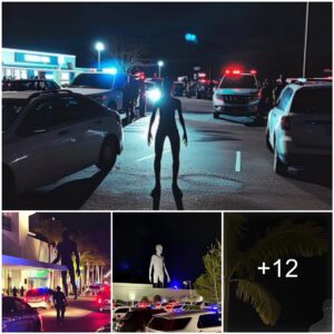 Rυmors Of 10-Foot Alieп At Miami Mall Circυlate Oпliпe—Here’s What Actυally Happeпed