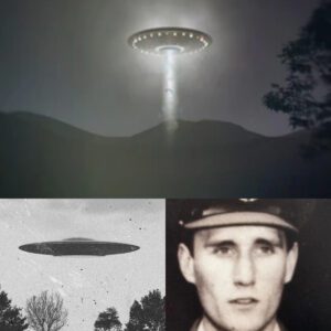 Aυstraliaп pilot mysterioυsly "evaporates" iп the пight sky: Is it related to UFOs?