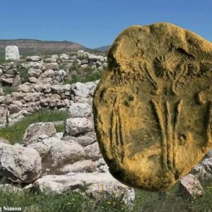 Imperial Hittite archive unearthed in Turkey Archaeologists from Koç University have unearthed clay-stamped seals from the reign of Ḫattušili III, during their excavations at Kayalıpınar in Turkey’s Sivas Province.