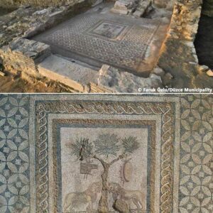 Roman lion mosaic unearthed in the ancient city of Prusias at Hypium Archaeologists conducting excavations at the ancient city of Prusias ad Hypium in Konuralp, Turkey, have unearthed a well-preserved mosaic featuring lion motifs.