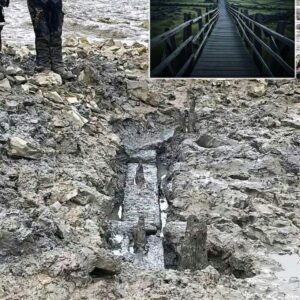 Archaeologists uncover 2,000-year-old wooden bridge linking England and Wales In the historic town of Chepstow, a team of archaeologists recently made a remarkable discovery. Chepstow, with its 12th-century Norman castle and rich history, is known for its strategic importance throughout various periods. Archaeologists have previously uncovered evidence of prehistoric, Roman, and Anglo-Saxon fortifications within its borders. However, the most recent revelation has taken historians and archaeologists by surprise. During an “extreme low tide event,” researchers stumbled upon a remarkably preserved wooden bridge, believed to have been constructed by the Romans around 2,000 years ago. This ancient structure, hidden beneath layers of mud for centuries, served as a vital link between England and Wales long before the modern boundaries of these two countries existed.