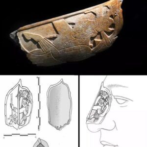 Maya nose ornament made of human bone unearthed at Palenque Ruins Archaeologists have discovered an intricately carved nose ornament crafted from human bone, during their excavations at the Maya city of Palenque in Mexico.