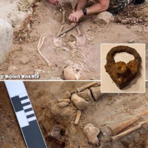 Archaeologists unearth 17th Century ‘vampire child’ burial in Poland Researchers in Poland have unearthed the remains of a 400-year-old child’s burial from the 17th century. The child, estimated to be between 5 and 7 years old at the time of death, was discovered in a face-down position with a padlock attached to one of its feet. This intriguing find has led experts to speculate that the padlock was intended to prevent the child from returning from the afterlife.