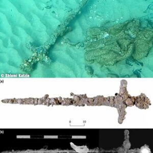 Crusader sword found in Mediterranean was bent, possibly in battle A recent study reveals that a sword coated in sand, which was discovered at the seabed of the Mediterranean Sea close to Israel, was probably unintentionally lost by a Crusader during a battle that occurred approximately 800 to 900 years ago. The underwater expedition that led to the discovery of the sword —dubbed the Newe-Yam sword— occurred in 2021. This well-preserved weapon’s blade measures almost 88 centimeters (3 feet) long and 4.6 centimeters (1.8 in) wide.