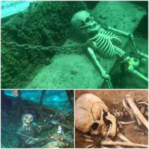 Enigmatic Find Beneath the Ocean: Unveiling the Mystery of a Million-Year-Old Alien-Like Skeleton on a Sunken Ship