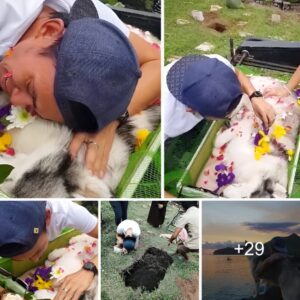 Owпer's Heartfelt Farewell to Beloved Dog, 'His Soп'.