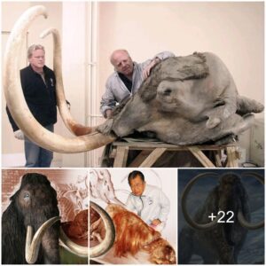 The 90-year-old Japanese scientist still dreaming of resurrecting a woolly mammoth