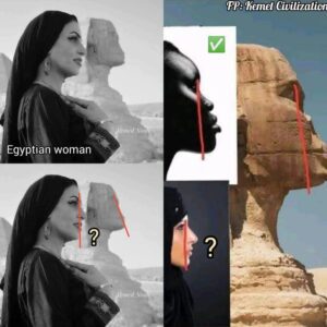 The prognathism Of the Sphinx doesn’t match with current egyptian’s. For me, The Sphinx is the highest significant proof that ancestors printed in stone for Eternity. No matter how ancient Egypt became multi-racial because of Eurasians invasions, it was a Black civilization at the beginning.