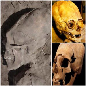 Unbelievable Discovery: Mysterious Alien Skull Baffles Experts, Shaking the Foundations of Human History!