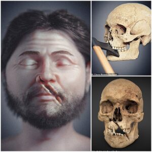 Bringing History to Life: Researchers Reconstruct the Face of a Medieval Warrior Who Perished in 1361