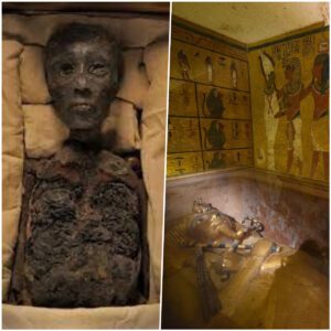 Unraveling the Enigma: Archaeologists Probe the Mysterious Disappearance of the Pharaoh's Step-Mother in His Tomb