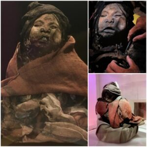 Frozen in Time: Unveiling the Saga of Three Inca Mummies Discovered Atop the World's Highest Active Volcano