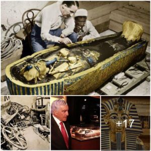 Unveiling a Hidden Message: Archaeologist Discovers Untold 19th Century Secret About Tutankhamun on Howard Carter's Grave in Egypt