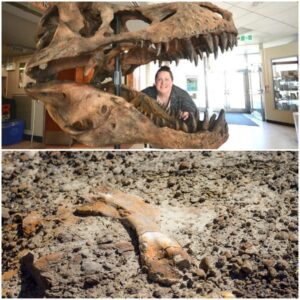 "Young Explorer's Remarkable Find: 12-Year-Old Discovers Rare Dinosaur Skeleton in Remote Canadian Wilderness"