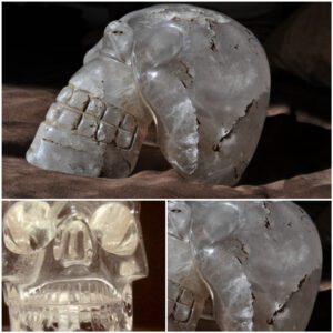 Unearthing Extraterrestrial Clues: The Discovery of an Ancient Crystal Skull at a Southern Archaeological Site Many Years Ago