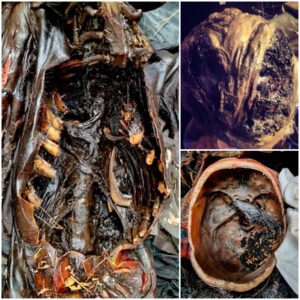 Mysterious Mummified Figure Unearthed After 16 Days: Bulgarian Scientists Baffled, No Earthly Explanations Found