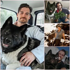 Paws, Play, and Paparazzi: Inside the Glamorous Lives of Henry Cavill’s Four-Legged Companions!