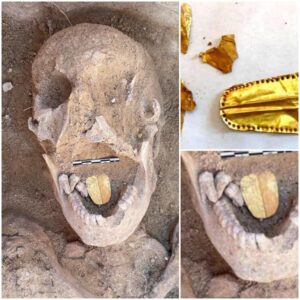 Ancient Egyptian Mummies: Unearthing 2,000-Year-Old Artifacts Including Gold Tongue Amulets Linked to Communication with the God of the Dead