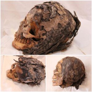 Armana's Astonishing Discovery: 3,300-Year-Old Egyptian Woman Found with Remarkable Hair Extensions