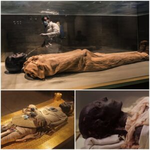 Discover the secrets of another world: Unusual mysteries about the mummification process of ancient Egyptians that have never been seen in modern antiquity on Earth