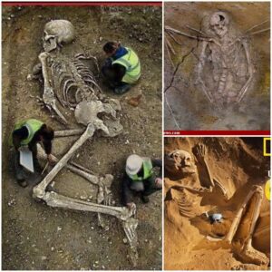 Unveiling a Startling Archaeological Find: Giant Skeleton with Massive Wings Leaves the Scientific Community Astounded