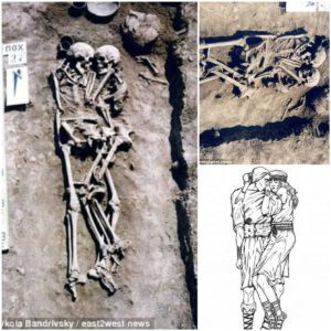 Unveiling a Tragic Tale: Ukraine Woman Buried Alive with Deceased Husband Discovered 3000 Years Later