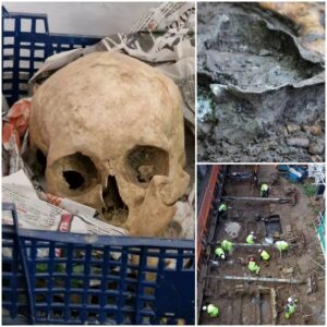 Unveiling an Archaeological Marvel: Concluding Excavation Reveals 300 Skeletons Unearthed Beneath Welsh Department Store