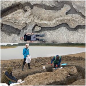 Unearthing a Prehistoric Marvel: UK Reveals Discovery of Giant 30-Foot 'Sea Dragon' Fossil from 180 Million Years Ago