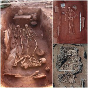 Unearthing Eternal Devotion: Archaeologists Discover 2,500-Year-Old Siberian Grave Holding an Ancient Warrior Couple