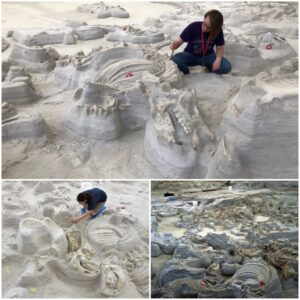 The Pompeii of Prehistoric Animals: Unveiling the Ancient Buried Drinking Hole in Nebraska's Ashfall Fossil Beds