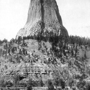 Is Devil Tower A Natural Stone Formation Or A Petrified Tree Stump 🌳🤯⁉️