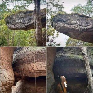 Giant Petrified Snake Or Rain Erosion 🐍🤯⁉️