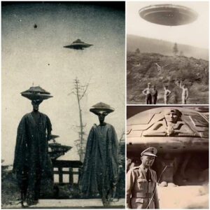 Unintended Encounters: Spontaneous UFO sightings recorded by coincidence on camera, these images have been strictly prohibited by the government. But by chance it was leaked