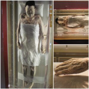 "Unlocking the Secrets of an Exceptionally Preserved 2,200-Year-Old Mummy: Traces of Blood Flowing Through Its Veins"