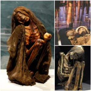 "The Enigmatic Revelation: Mummy of Shamanic Woman Unearthed Within a Tree, Bedecked in Finery and Jewelry, Preserved for 2,200 Years."