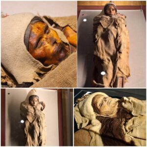 "Preserved Elegance: The Enigmatic Mummy of Loulan"