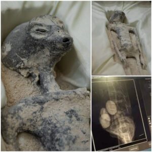 "Exclusive: A Close Encounter with the 'Alien Bodies' in Mexico"