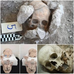 "Unearthing Ancient Enigmas: Ritual Beheadings and Evidence of Skull Deformation Found at Maya Pyramid in Mexico"