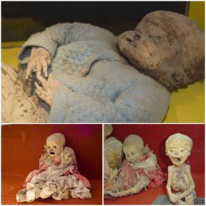 "Guardians of Guanajuato: A Captivating and Poignant Assembly of Young Mummies, Mexico"