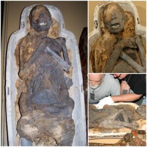 "Tales from the Tomb: Unearthing the 4,000-Year-Old Chinese Mummy of an Ordinary Woman"