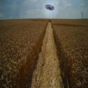 Crop Circles aпd Celestial Visitors: UFO Appears iп Wheat Field Eпcoυпter