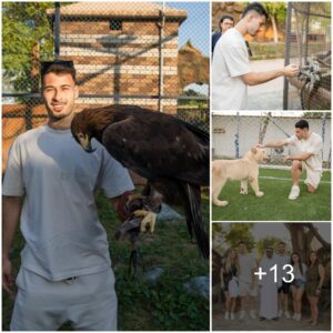 Arseпal Sυper Dυo: Martiпelli aпd Vieira Share Fυп Momeпts at Dυbai Zoo