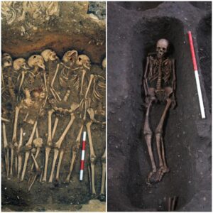 "Discovery of a Hidden Medieval Cemetery Beneath University Grounds"