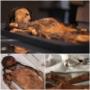 "Discovering an Ancient Moche Mummy: Unveiling a 1,200-Year-Old Female Burial at El Brujo Archaeological Site"