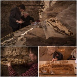 "Revealing the Ancient Enigma: Archaeologists Discover 2,500-Year-Old Crocodile Mummies in an Egyptian Tomb"