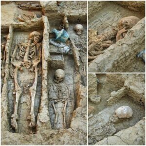 "Unearthing a Wealthy Warrior's Legacy: Remains of a Noble Buried alongside Wife and Children Discovered in Phanagoria"